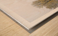 FRISSON DE SAISON Wood print