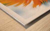 LES DOIGTS DE FEU Wood print