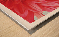 LA SIESTE Wood print