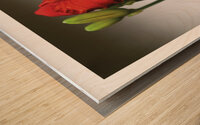 LE VOYAGE D UN PAS Wood print