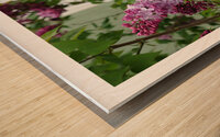 LE BAIN DE LILAS Wood print