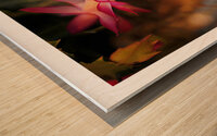 POIDS PLUME Wood print