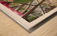 ELOGE DE L IMPERFECTION Wood print