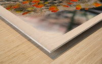 DES FLEURS SUR UN LIT D EPINES Wood print