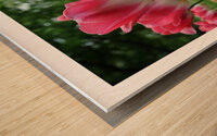 OSE Wood print