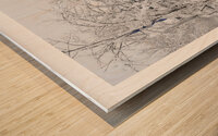 SOUS LA NEIGE Wood print
