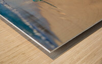 Glass Floats on Golden Sand Hawaii Wood print