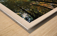 LA CROISSANCE Wood print