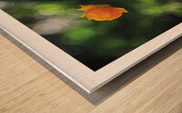 ILLUMINEE Wood print