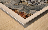 LES NIDS Wood print