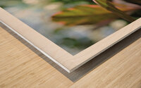 COLORE TA VIE Wood print