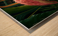Flamingo Road Wood print