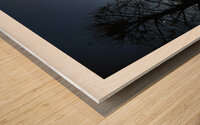 APPORTEZ LA GRANDE ECHELLE Wood print
