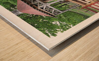 ACROBATE EN HERBE Wood print