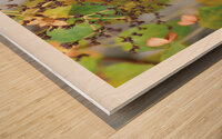 LE BUISSON ETOILEE Wood print