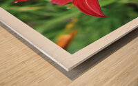 LA MOUCHE Wood print