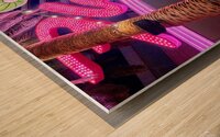Flamingo Las Vegas Wood print