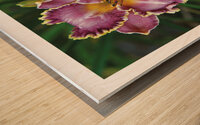 LA FLEUR DE L AGE Wood print