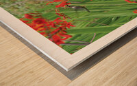 BUFFET A VOLONTE Wood print