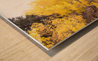 Golden Wood print