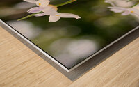 MY Flower Wood print