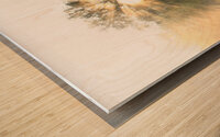 Let There Be Light Wood print