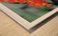LES AMANTS ENFLAMMES Wood print