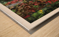 L EFFEUILLEUR Wood print