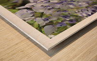 ATTRAPEZ LA GRAPPE Wood print