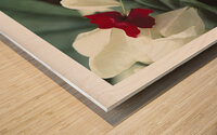 LES CACHE COEURS Wood print