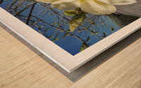 LE RECUL VERS L AVANT Wood print