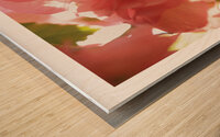 LA TRANSPARENCE Wood print