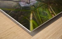 Mysterious Underwater Reflections Wood print