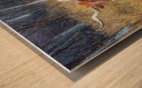 Twisted Sister Wood print