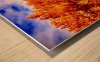 Forest Fire Wood print