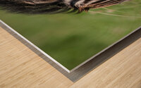 Welcome Wood print
