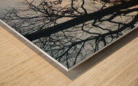 4E24C4DC AAF7 4A85 B0EF D5637A62E7EC Wood print
