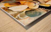 Beachcombing Shells Wood print