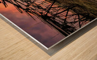Norwegian Cod Drying Racks at Sunset Wood print