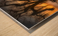 SPANISH MOSS Wood print