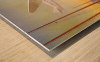 paul george lawler 1938 transpacific flight Wood print