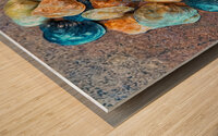 Jingles Seashells Wood print