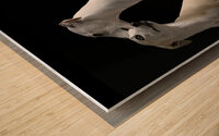 Dog lovers Wood print