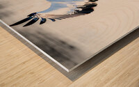 Flyaway Wood print