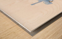 Feathered backs Wood print