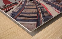 Roller Coaster Inverted 360 Wood print