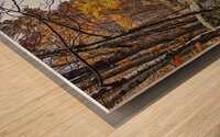 Echoes of Autumn on the Paper Mill Trail - Maine River Wall Art Wood print