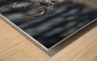 Brandon Buck Wood print