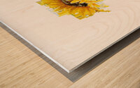Watercolor Flower Minimalism PNG 6 Wood print