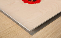 Watercolor Flower Minimalism PNG 15 Wood print